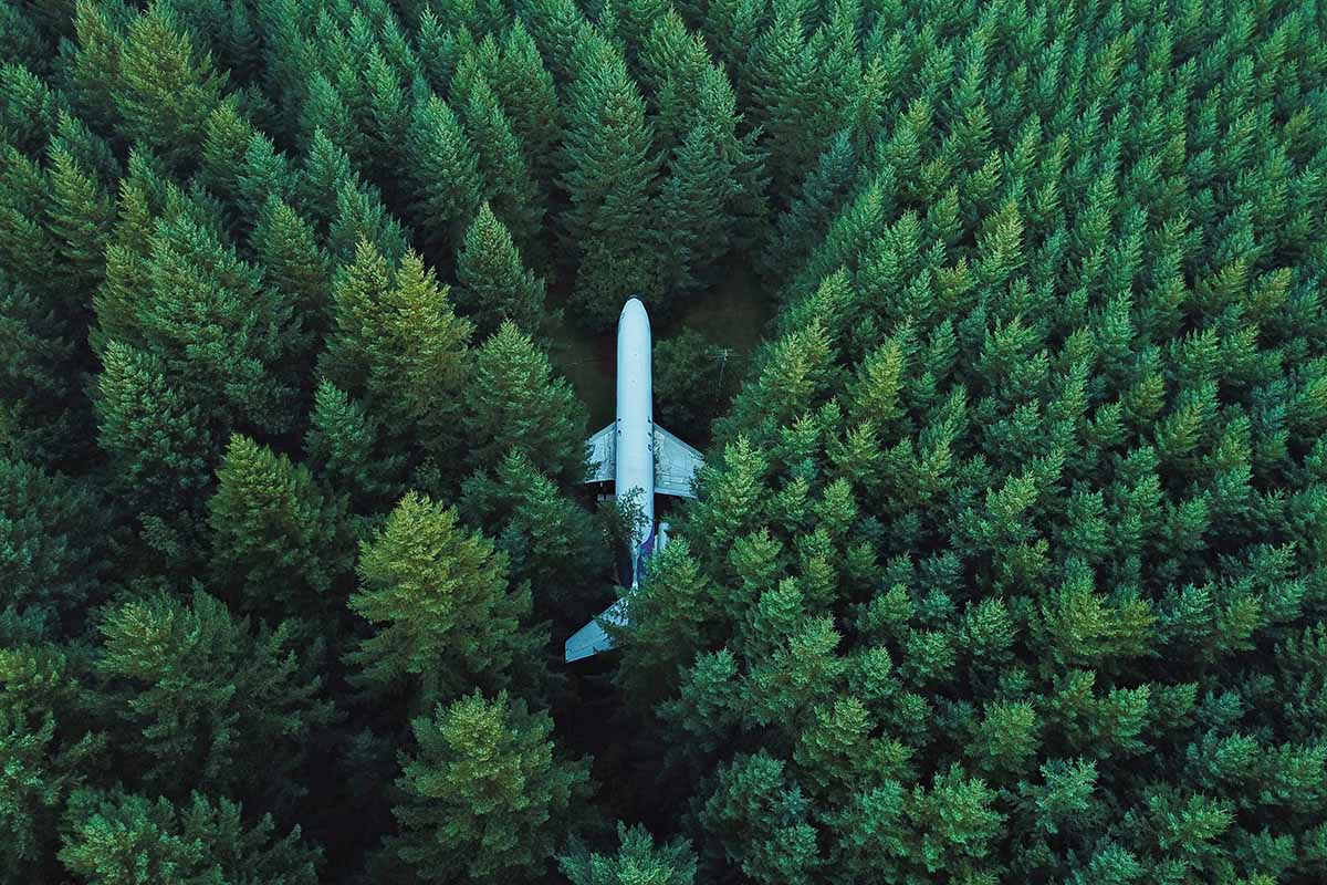 Airplane in a forest