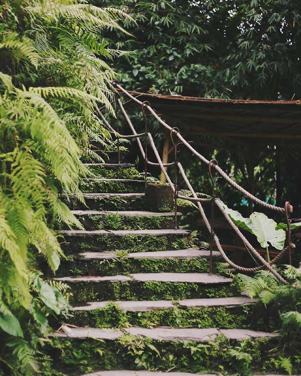 moss covered stone stairs